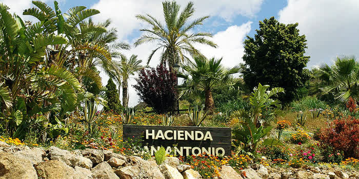 Restaurante Hacienda San Antonio